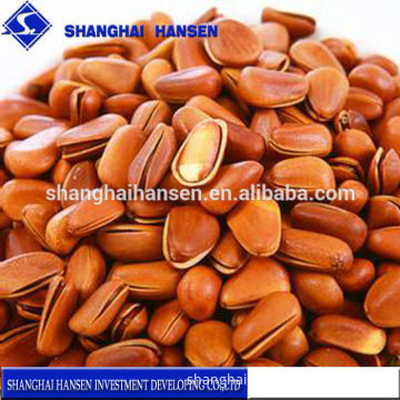 Pine nuts Snacks Import Agency Services for International Transportation Customs Declaration